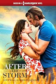 After the Storm (2019)