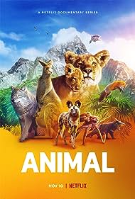 Animal (2021)