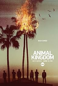 Animal Kingdom (2016)