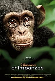 Chimpanzee (2012)