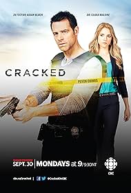 Cracked (2013)