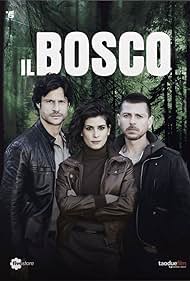 Il bosco (2015)