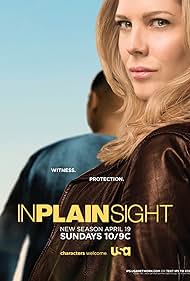 In Plain Sight (2008)