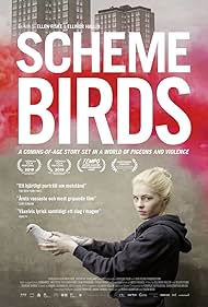 Scheme Birds (2019)