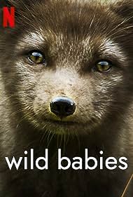 Wild Babies (2022)